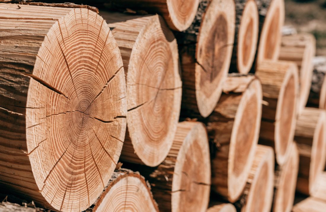 Split oak logs stacked, showing dry seasoned end grain
